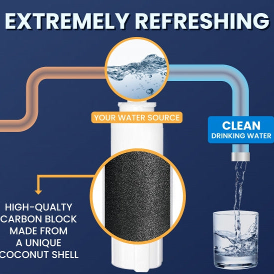 F&PFrideFilter8368Coco