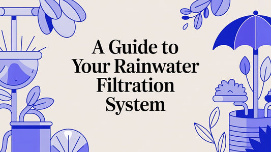 A Guide to Your Rainwater Filtration System