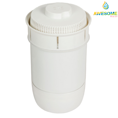 AWESOME WATER® FILTER - Algae Shield Filter, 2 Pack + Lunar Bottle Upgrade Kit - Awesome Water®