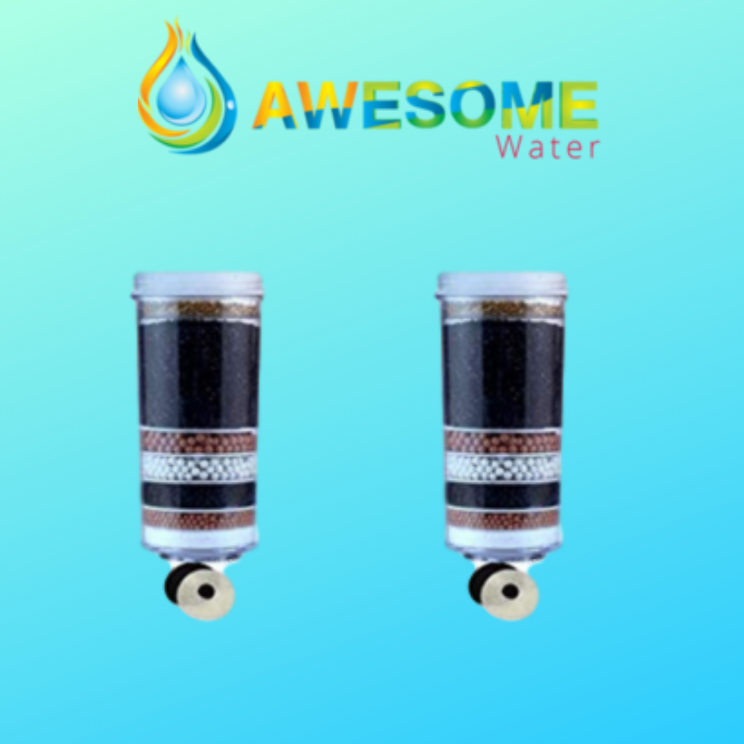 AWESOME WATER FILTERS - 8 Stage Filter - Premium, 2 Pack + 20L Bottle Upgrade Kit & COOLER LOVERS Cleaning Spray - Awesome Water